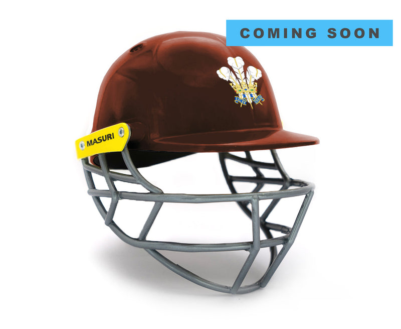 Surrey CCC Mini Replica Helmet